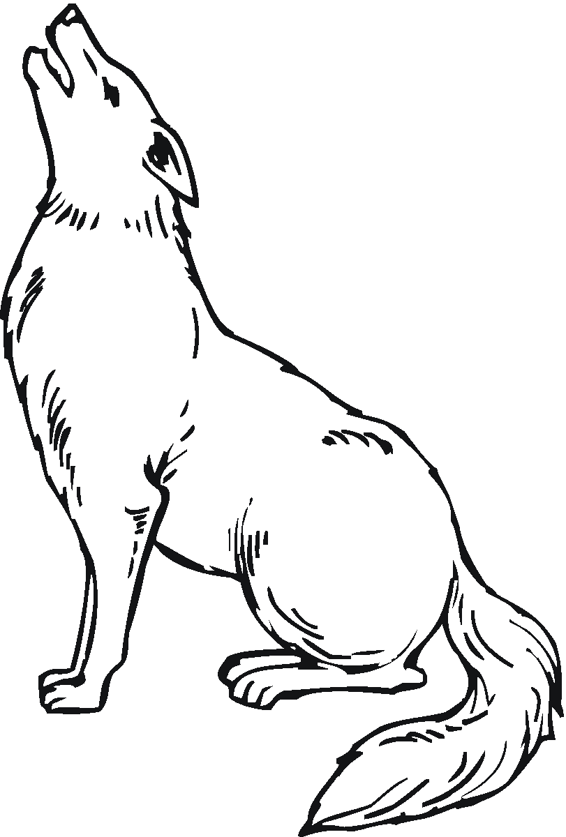 33 Cute Coyote Coloring Pages for Kids Printable 1