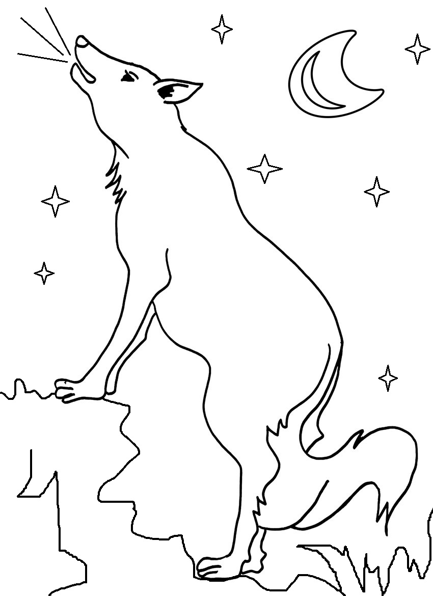 33 Cute Coyote Coloring Pages for Kids Printable 25