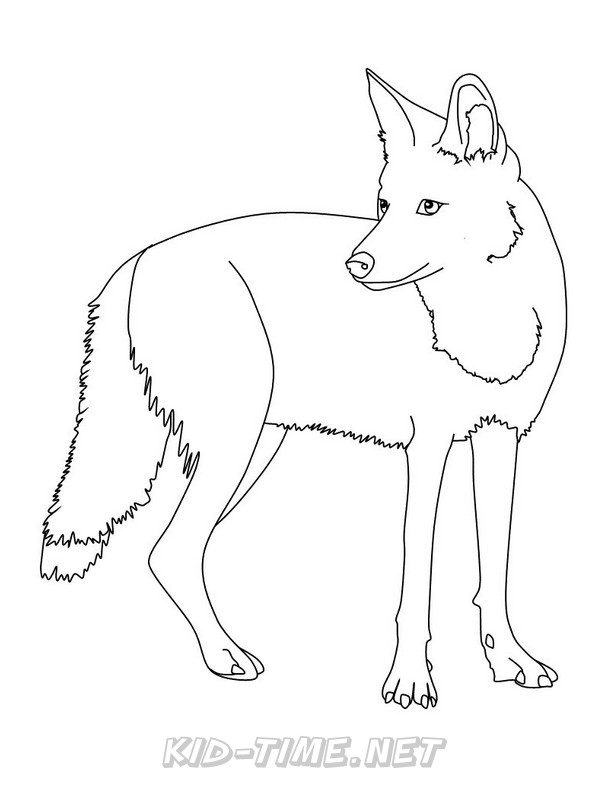 33 Cute Coyote Coloring Pages for Kids Printable 27