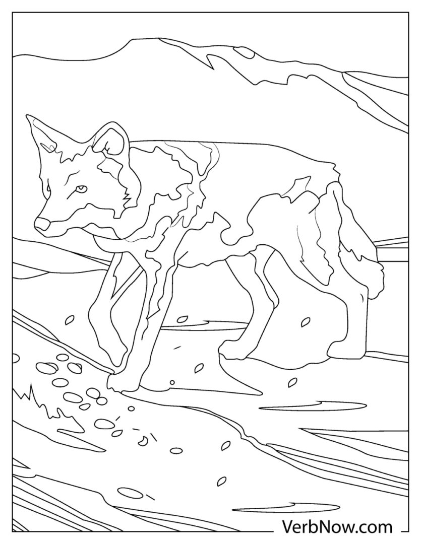 33 Cute Coyote Coloring Pages for Kids Printable 6