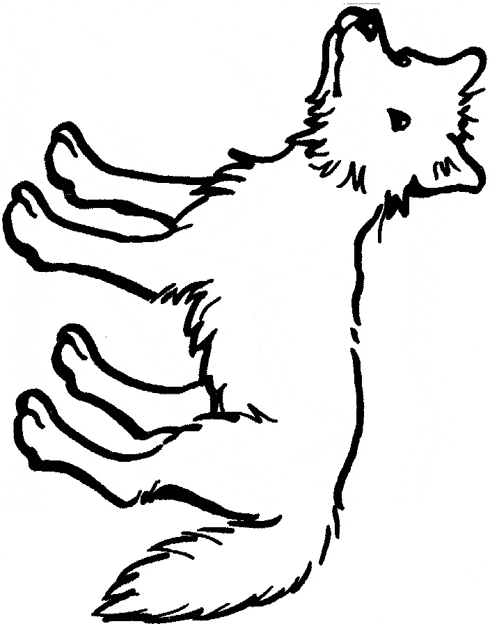 33 Cute Coyote Coloring Pages for Kids Printable 7