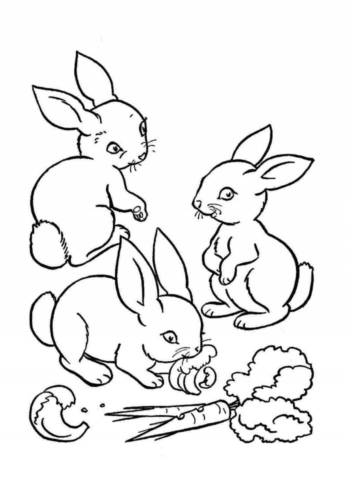 33 Cute Rabbit Coloring Pages Printable 11