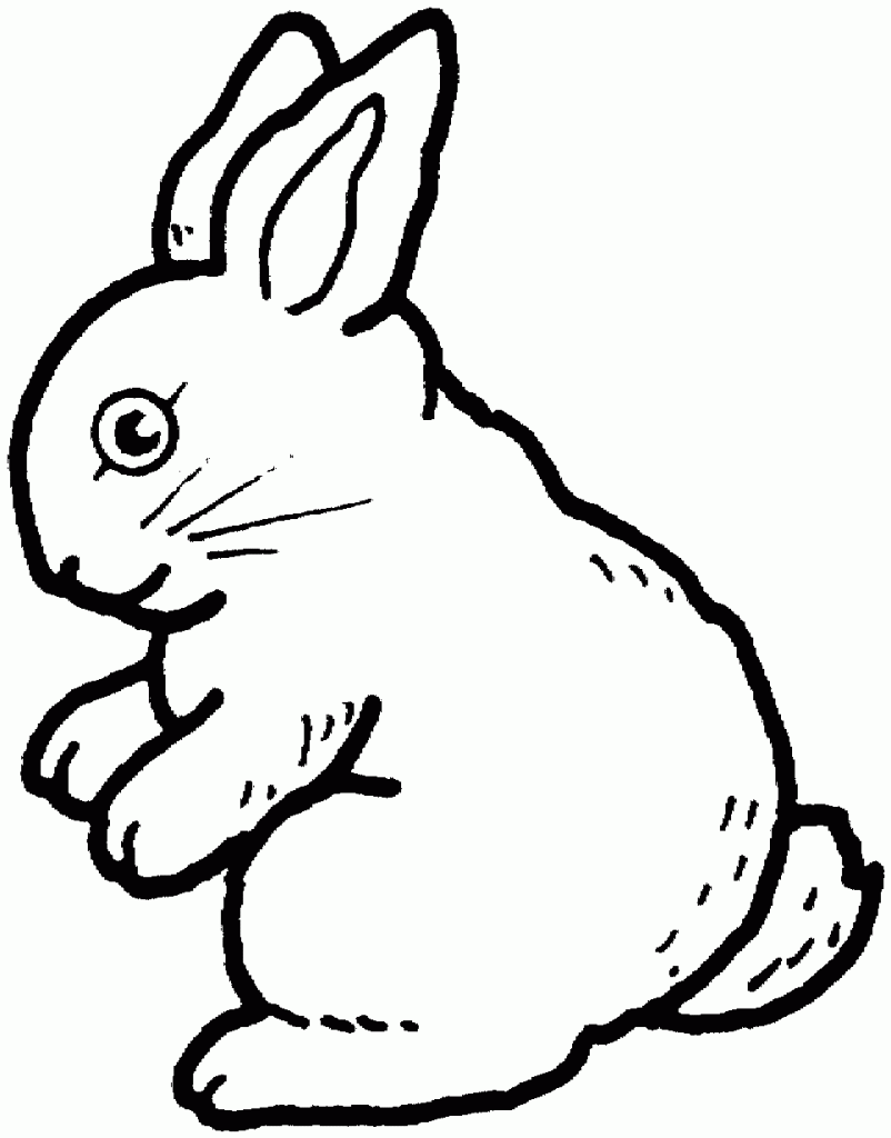 33 Cute Rabbit Coloring Pages Printable 12