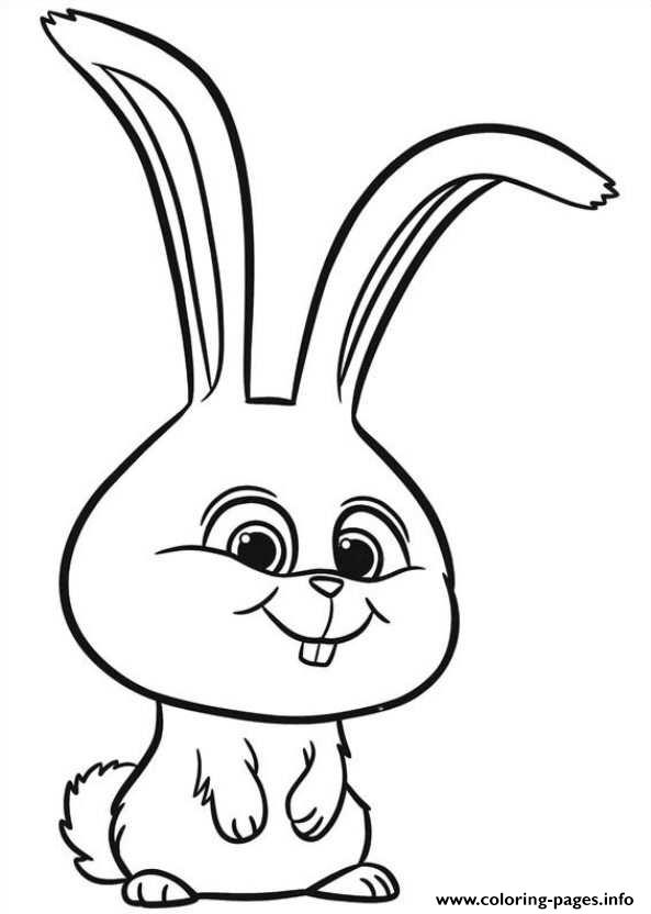 33 Cute Rabbit Coloring Pages Printable 22