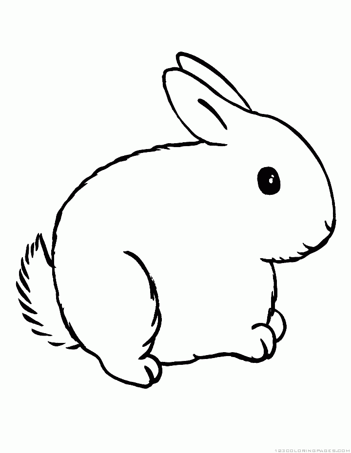 33 Cute Rabbit Coloring Pages Printable 23