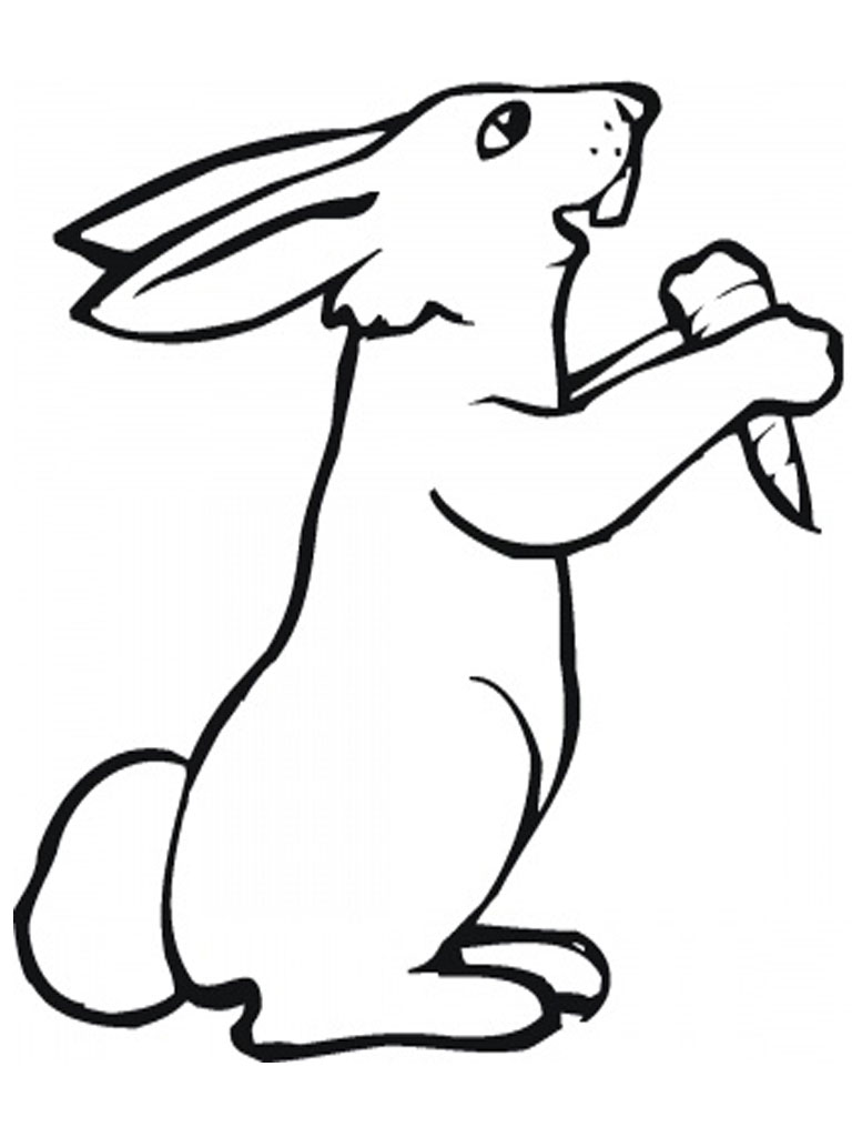 33 Cute Rabbit Coloring Pages Printable 24