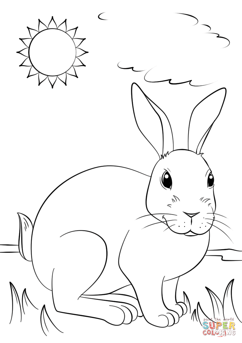 33 Cute Rabbit Coloring Pages Printable 28