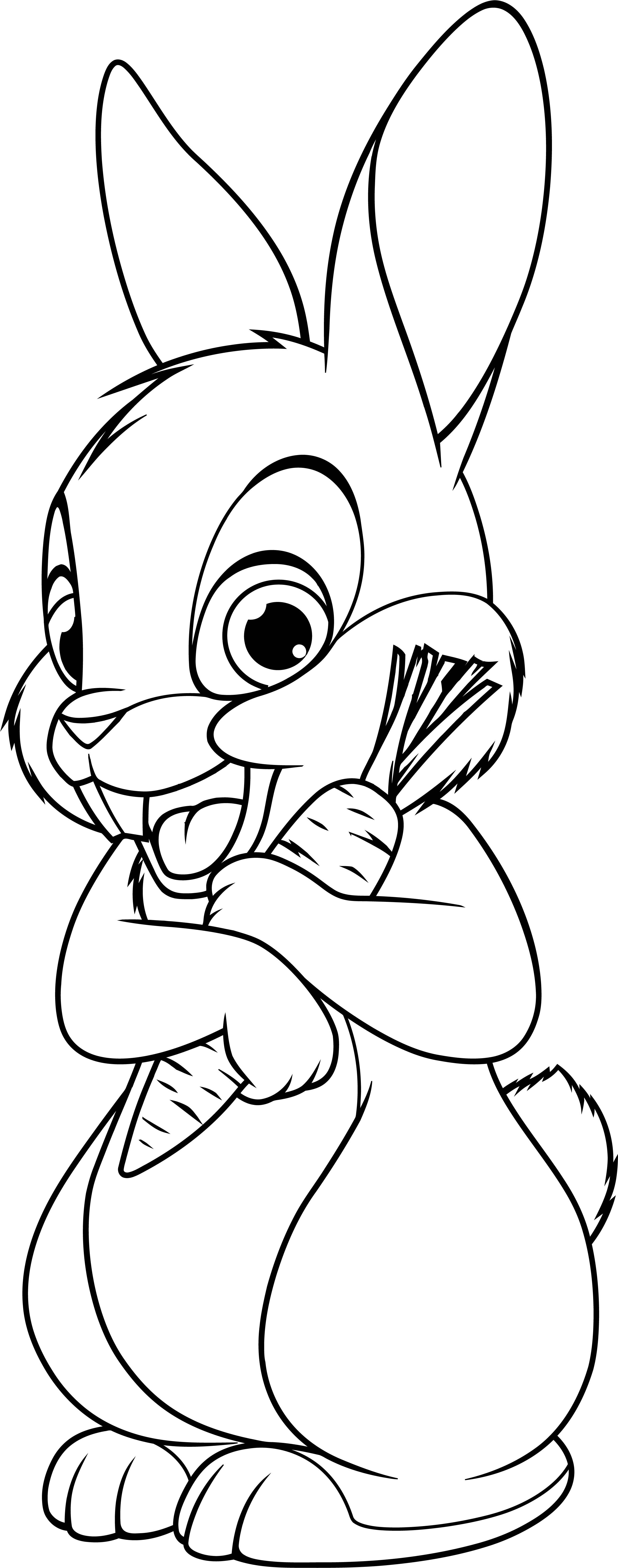 33 Cute Rabbit Coloring Pages Printable 4