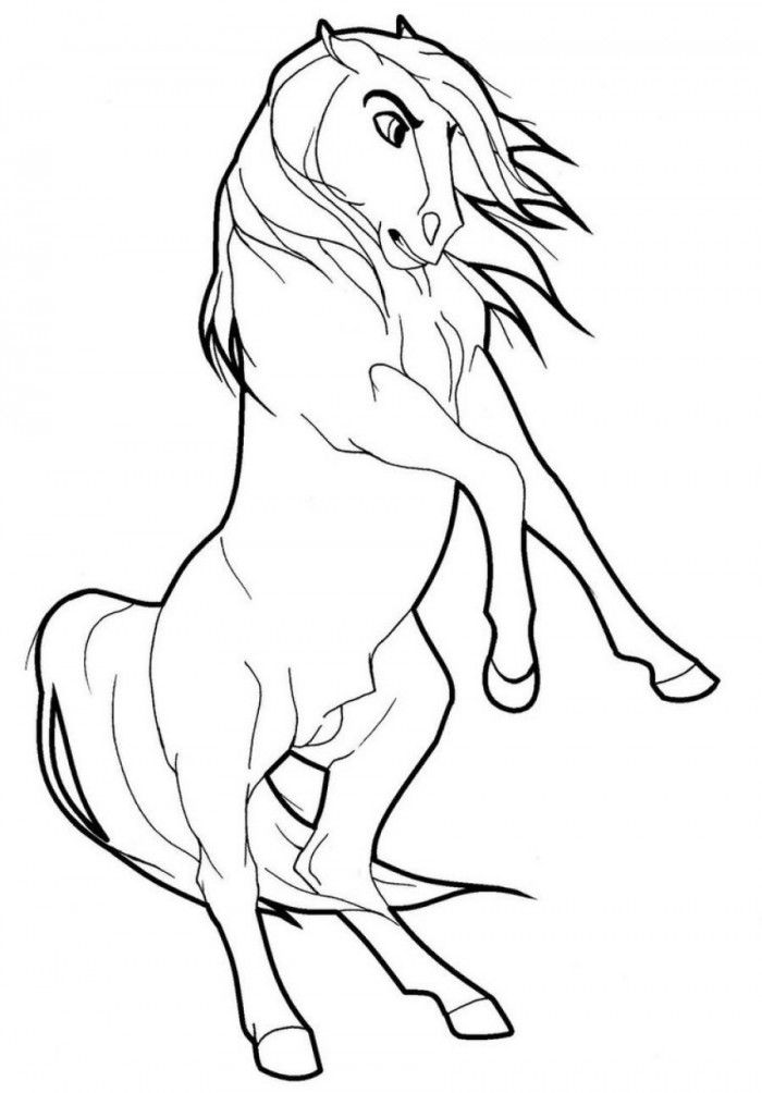 33 Wild Horse Coloring Pages Printable 1