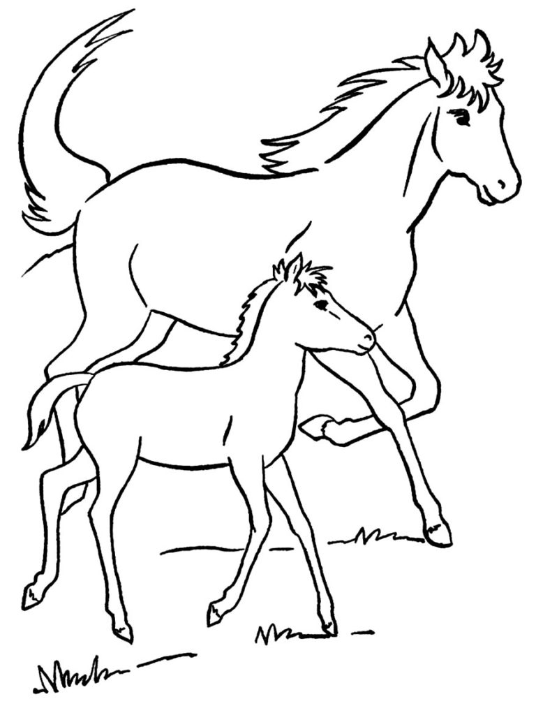 33 Wild Horse Coloring Pages Printable 11