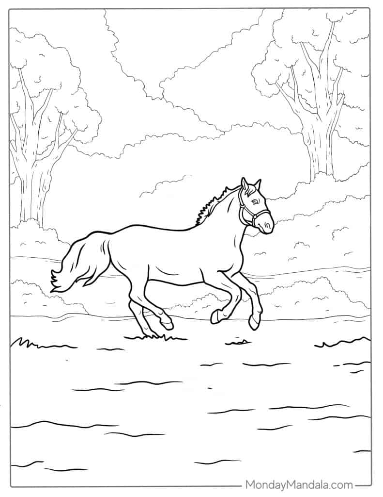 33 Wild Horse Coloring Pages Printable 14