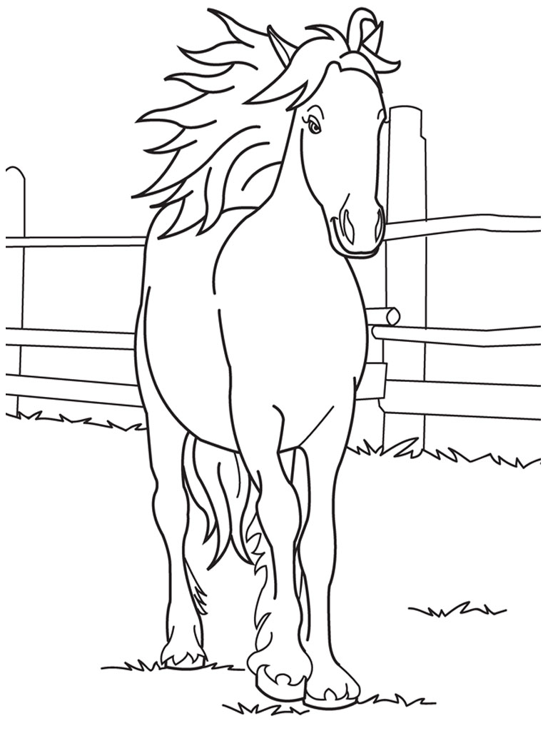 33 Wild Horse Coloring Pages Printable 15