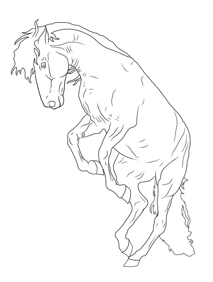 33 Wild Horse Coloring Pages Printable 16