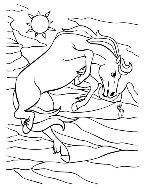 33 Wild Horse Coloring Pages Printable 19