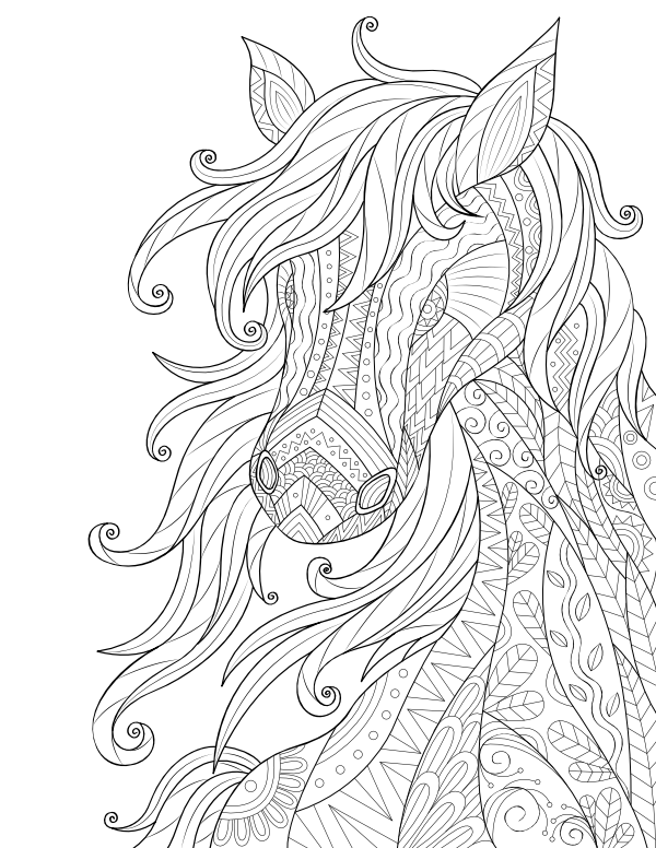 33 Wild Horse Coloring Pages Printable 23