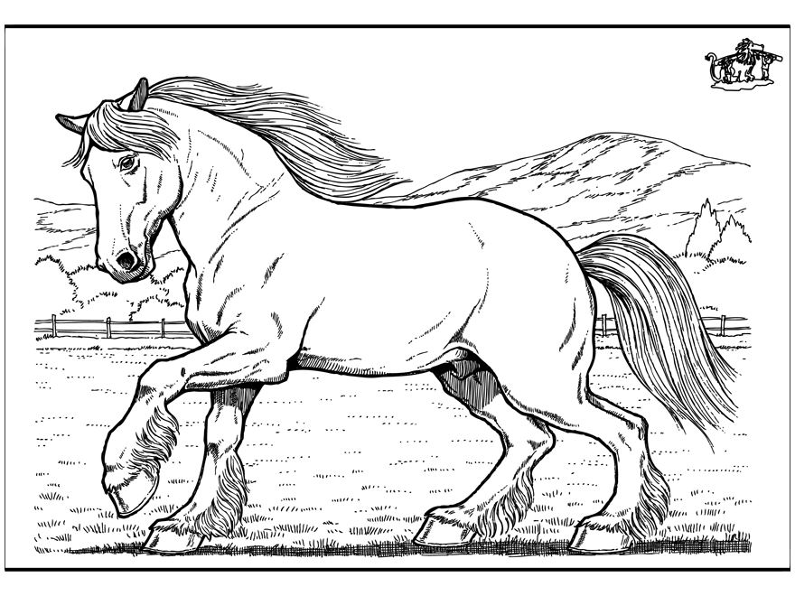 33 Wild Horse Coloring Pages Printable 26