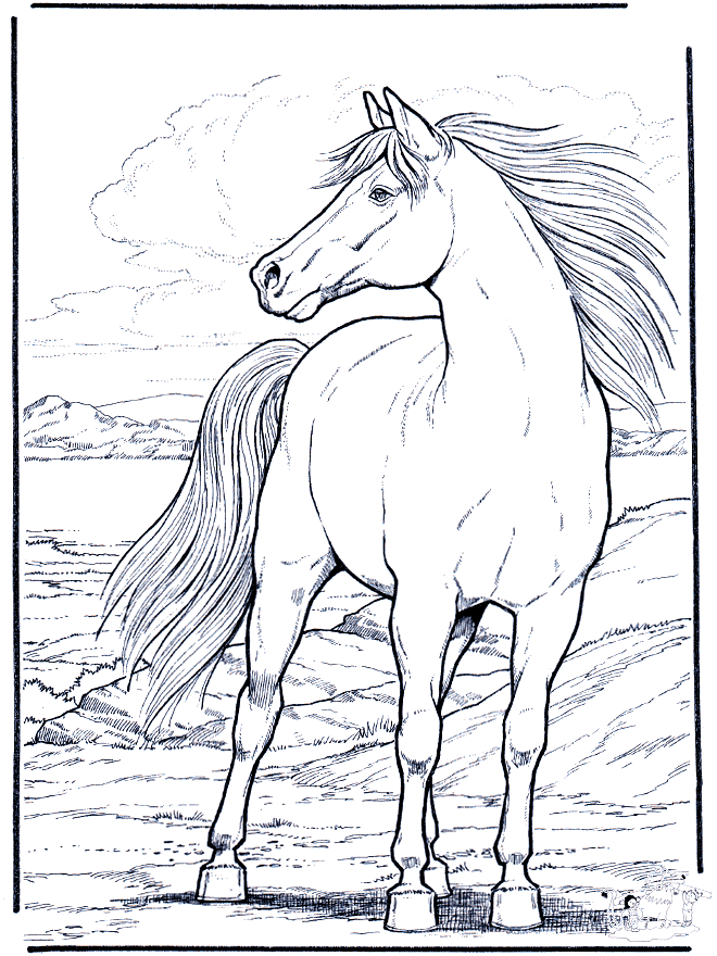 33 Wild Horse Coloring Pages Printable 28