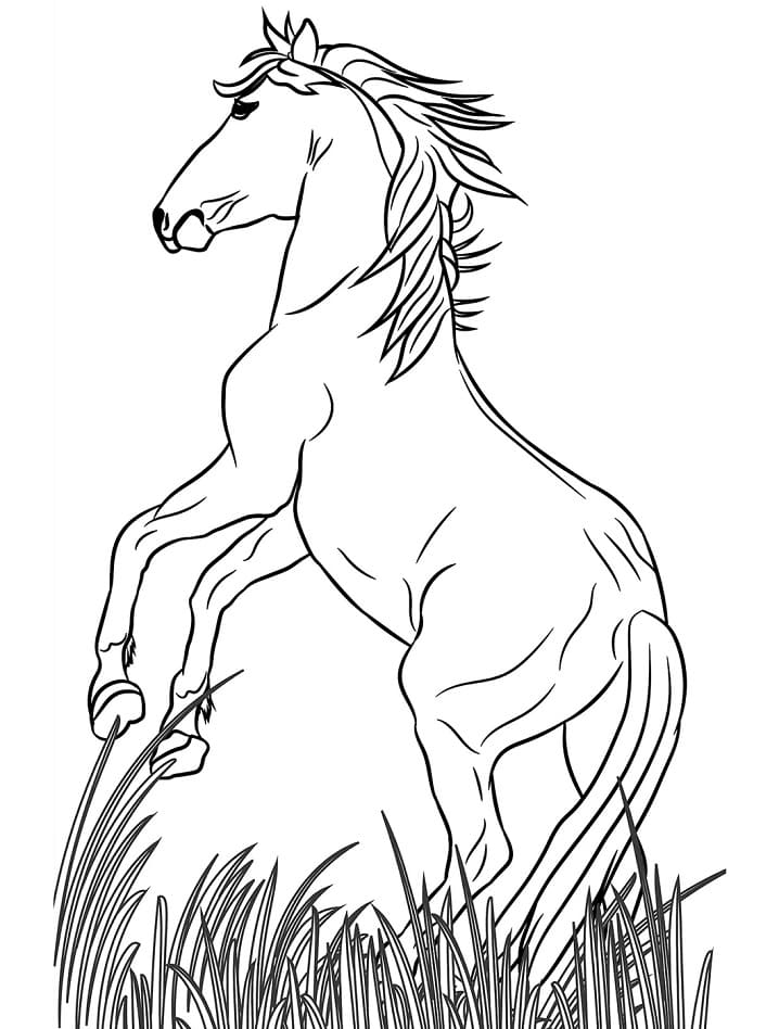 33 Wild Horse Coloring Pages Printable 29