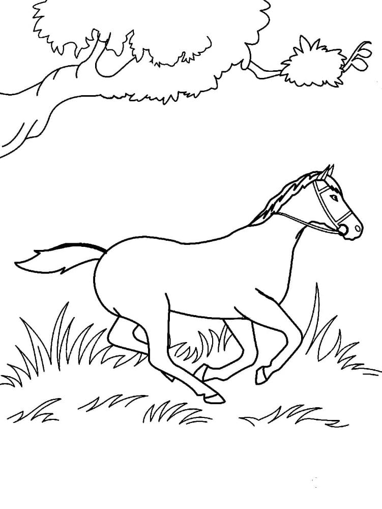 33 Wild Horse Coloring Pages Printable 3