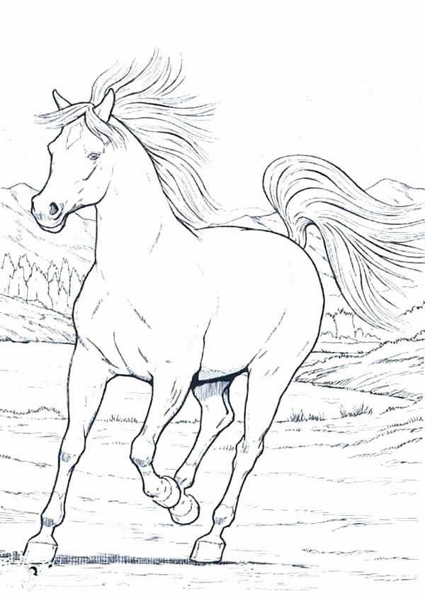 33 Wild Horse Coloring Pages Printable 31