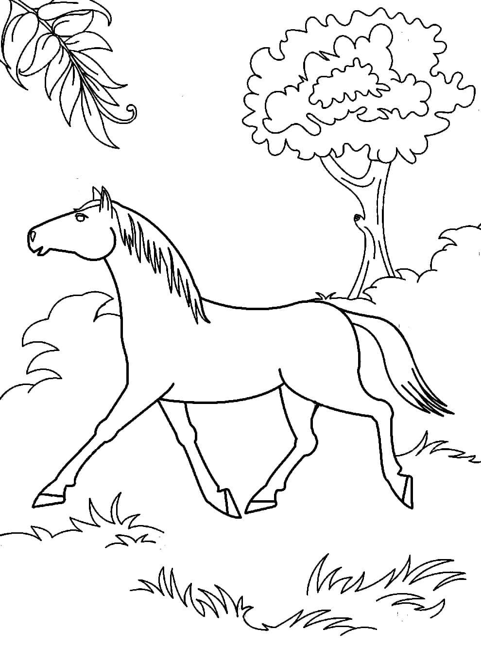 33 Wild Horse Coloring Pages Printable 32