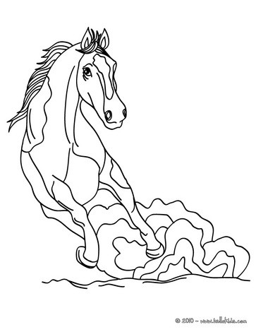 33 Wild Horse Coloring Pages Printable 33