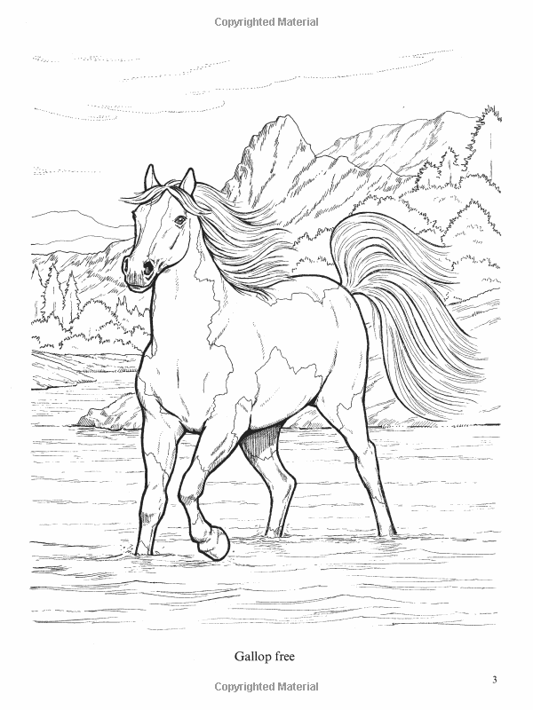 33 Wild Horse Coloring Pages Printable 34