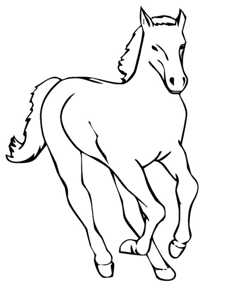 33 Wild Horse Coloring Pages Printable 35