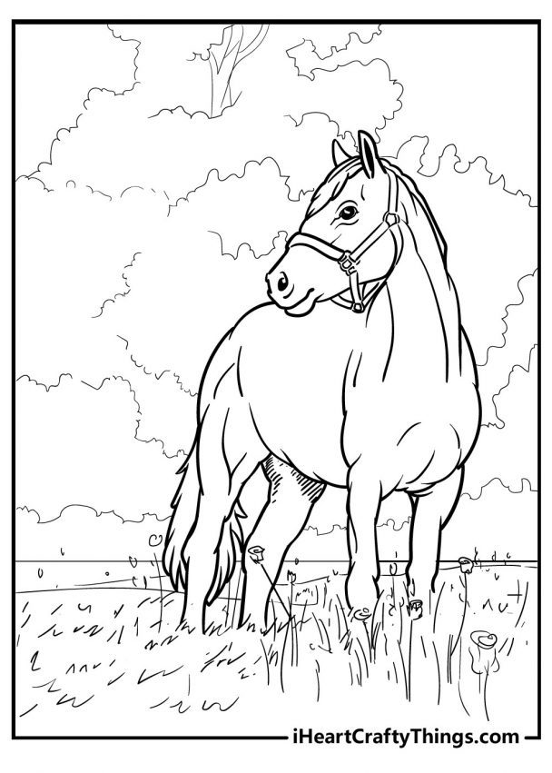 33 Wild Horse Coloring Pages Printable 5