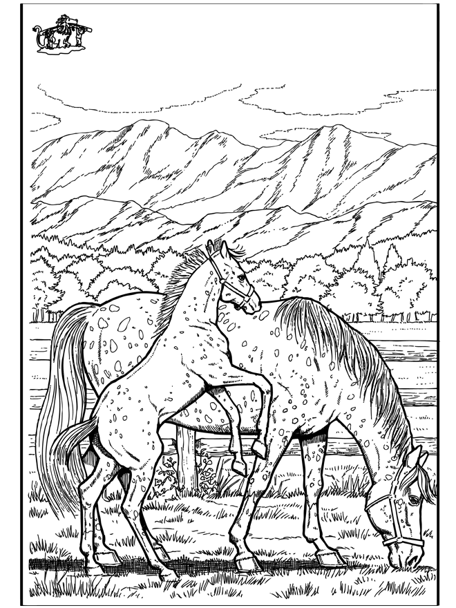 33 Wild Horse Coloring Pages Printable 7