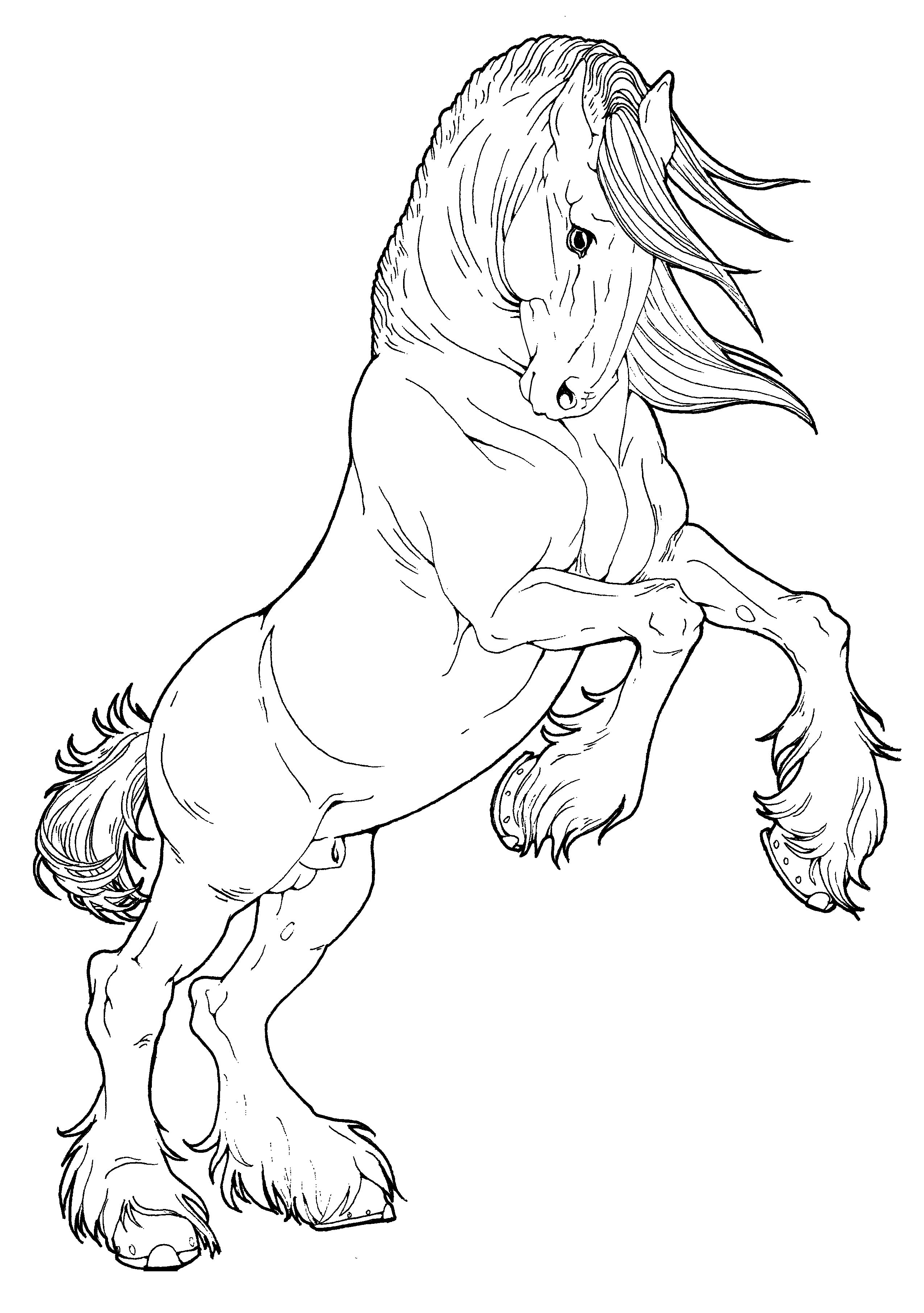 33 Wild Horse Coloring Pages Printable 9