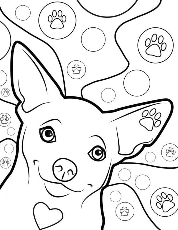 34 Adorable Chihuahua Coloring Pages Printable 10