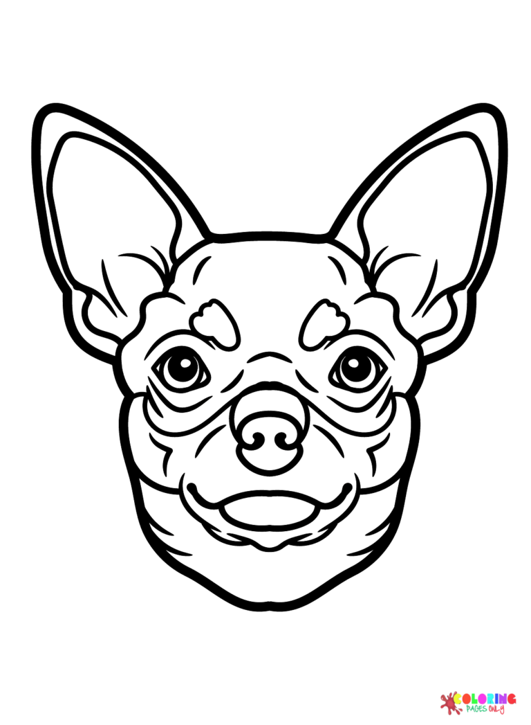 34 Adorable Chihuahua Coloring Pages Printable 12