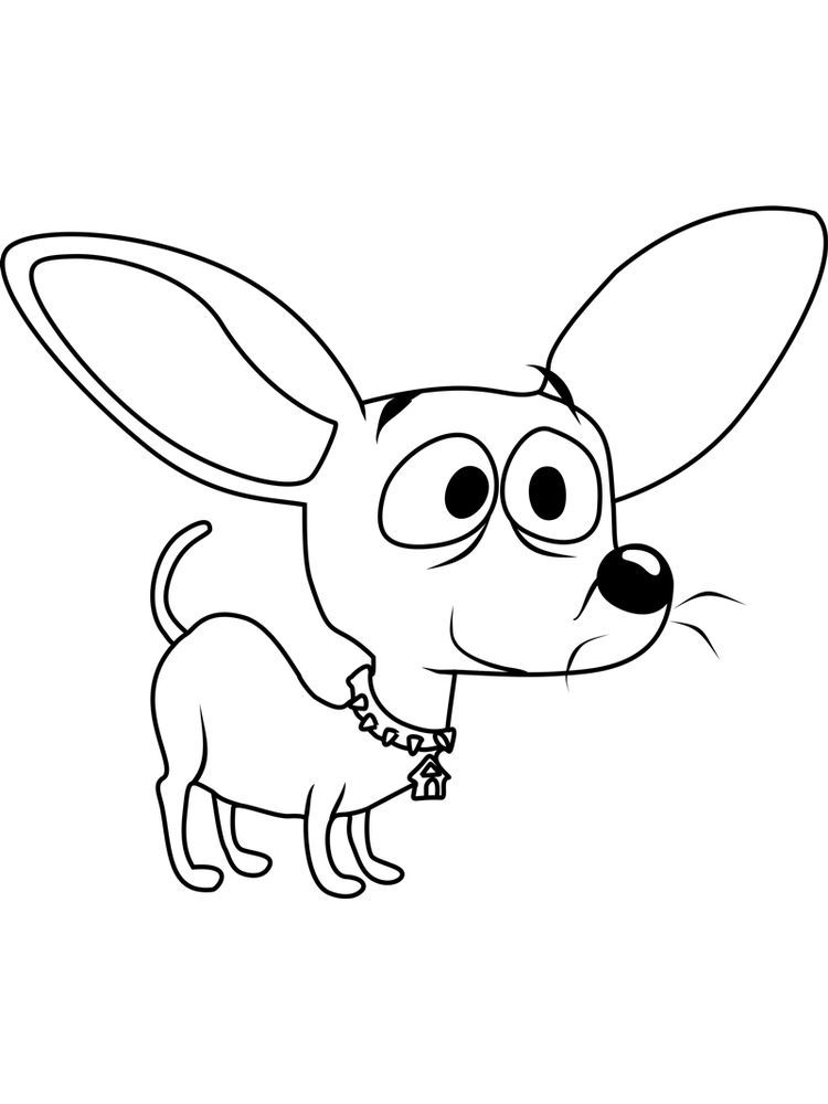 34 Adorable Chihuahua Coloring Pages Printable 14