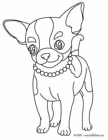 34 Adorable Chihuahua Coloring Pages Printable 15