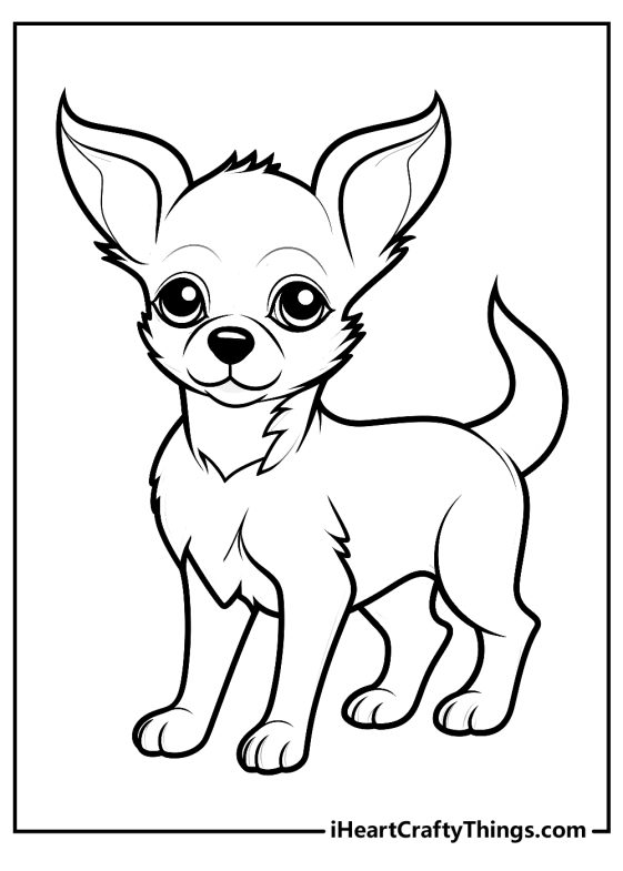 34 Adorable Chihuahua Coloring Pages Printable 18