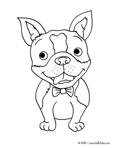 34 Adorable Chihuahua Coloring Pages Printable 19