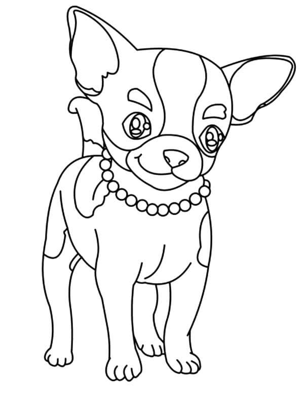 34 Adorable Chihuahua Coloring Pages Printable 2