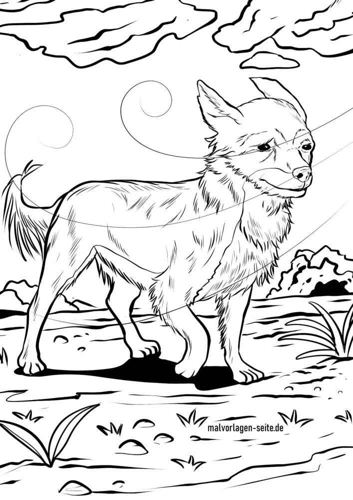 34 Adorable Chihuahua Coloring Pages Printable 21