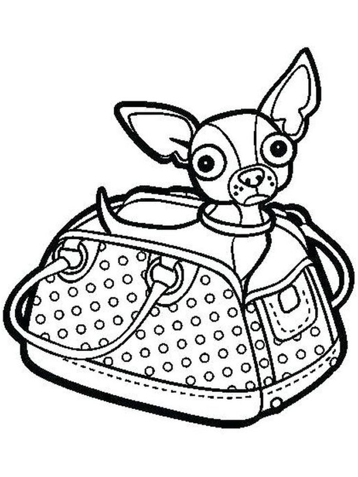 34 Adorable Chihuahua Coloring Pages Printable 27