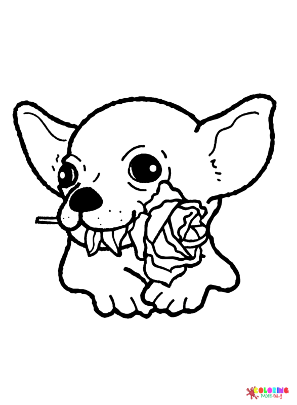 34 Adorable Chihuahua Coloring Pages Printable 28