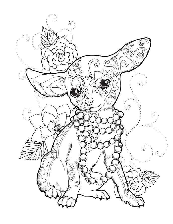 34 Adorable Chihuahua Coloring Pages Printable 31