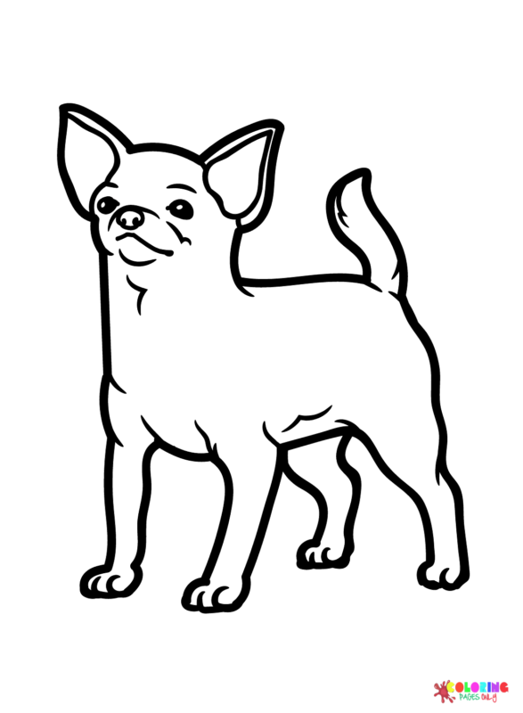 34 Adorable Chihuahua Coloring Pages Printable 32