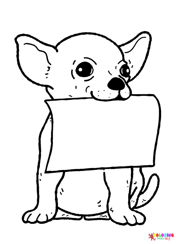 34 Adorable Chihuahua Coloring Pages Printable 35