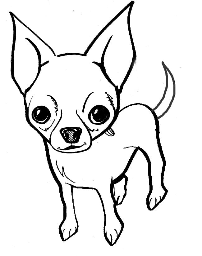 34 Adorable Chihuahua Coloring Pages Printable 4