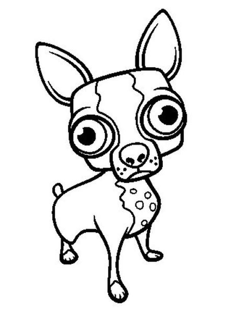 34 Adorable Chihuahua Coloring Pages Printable 5