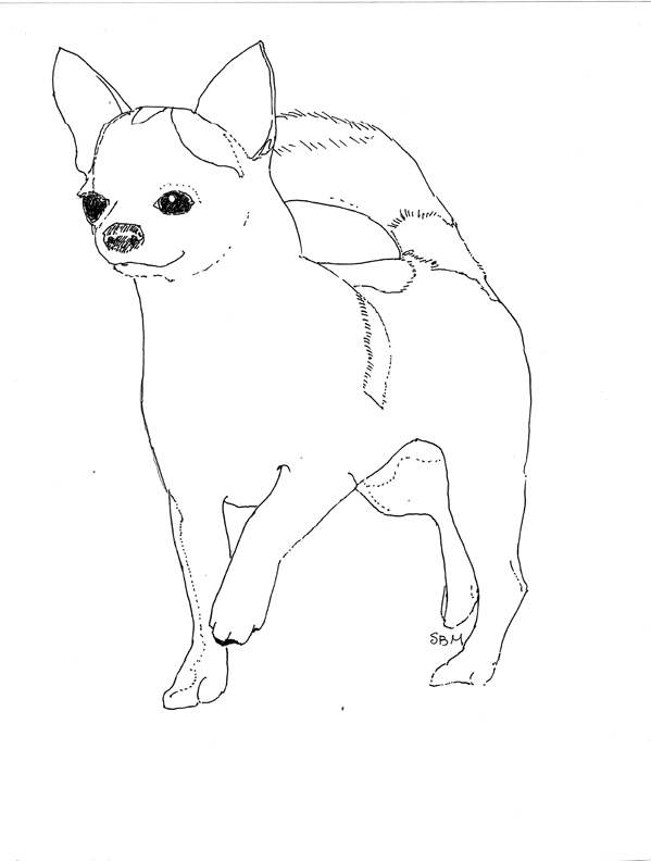 34 Adorable Chihuahua Coloring Pages Printable 9