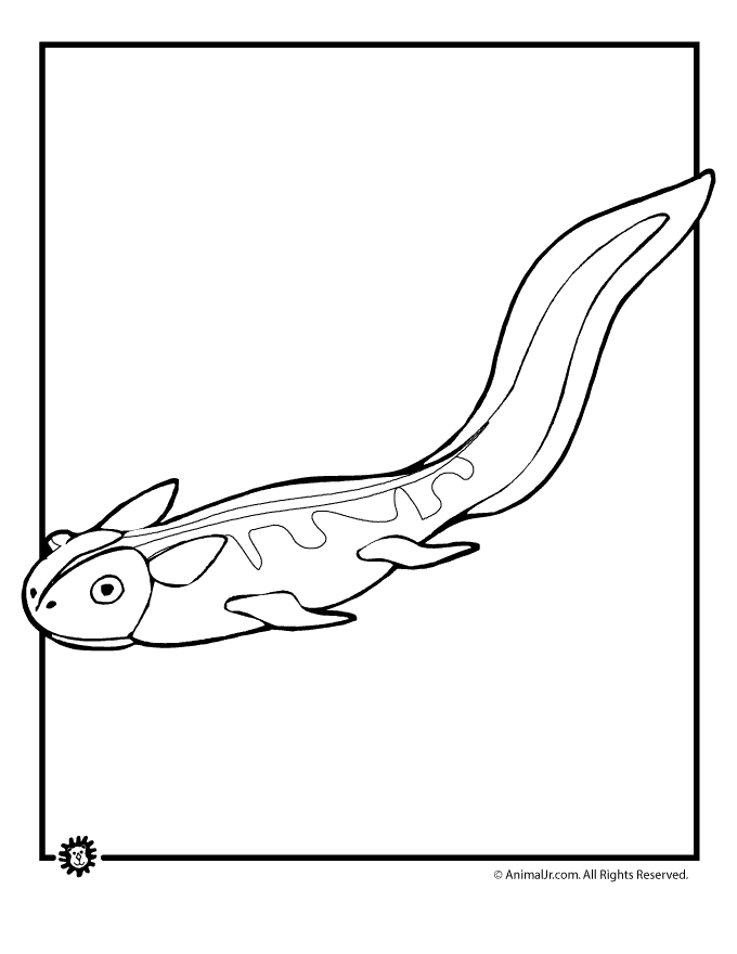 34 Adorable Tadpole and Froglet Coloring Pages Printable 10