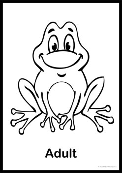 34 Adorable Tadpole and Froglet Coloring Pages Printable 11