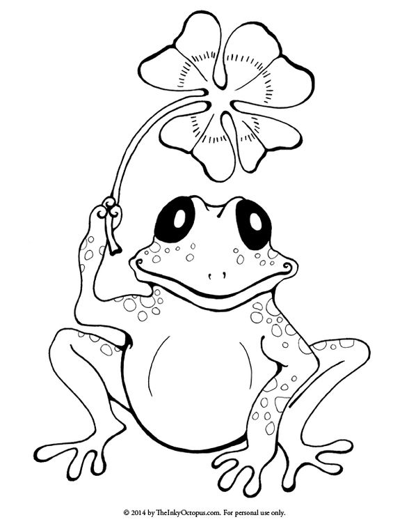 34 Adorable Tadpole and Froglet Coloring Pages Printable 15